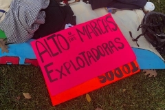 photo8